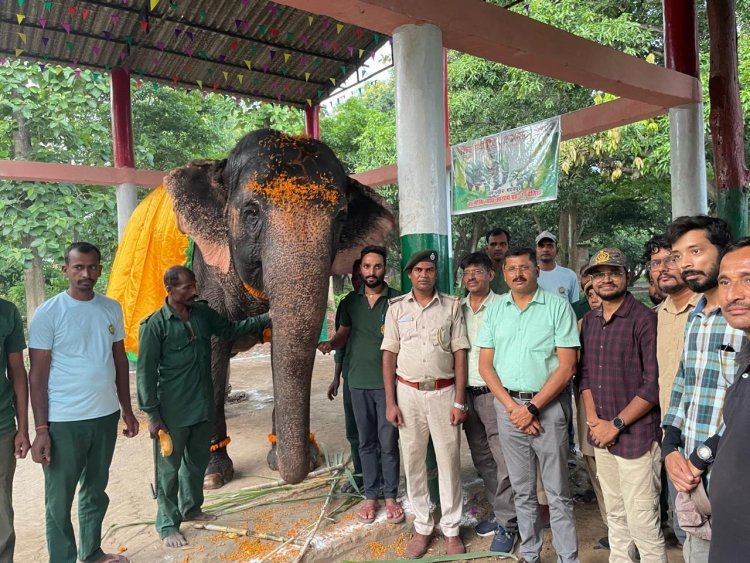 विश्व हाथी दिवस पर वीटीआर के हाथीयों को  निदेशक ने किया स्वागत