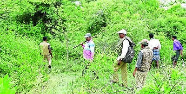 वीटीआर के वन क्षेत्र में बढ़ी  मॉनसून गश्ती  , वन कर्मीयों हुए अलर्ट ।