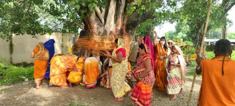 सुहागिन महिलाओं ने भक्ति भाव से सोमवती अमावस्या पर की पीपल के वृक्ष की पूजा अर्चना l